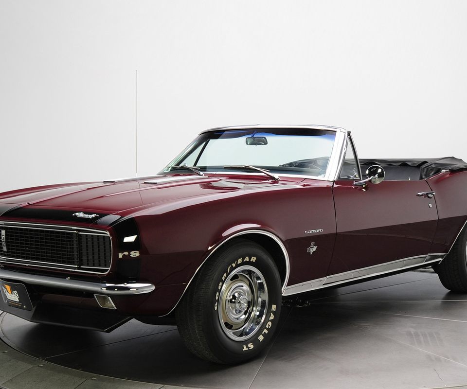 , Chevrolet, muscle car, , camaro, convertible, 1967, 
