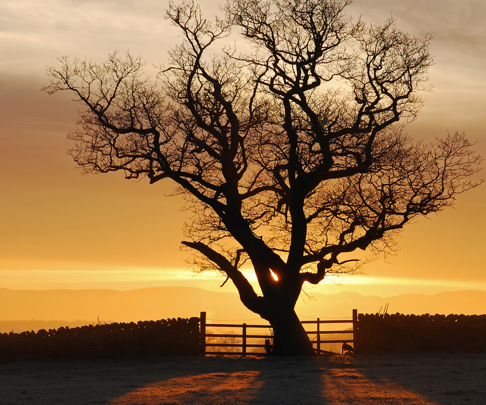 , , , , eden valley