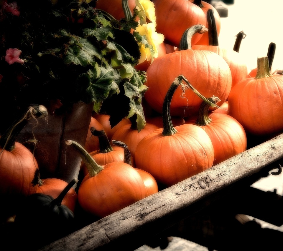 fall, cart, Pumpkins, orange, autumn