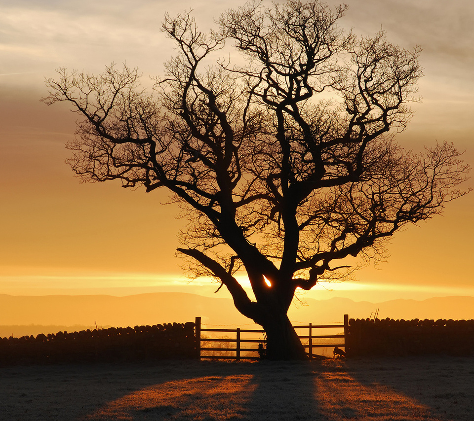 , , , , eden valley