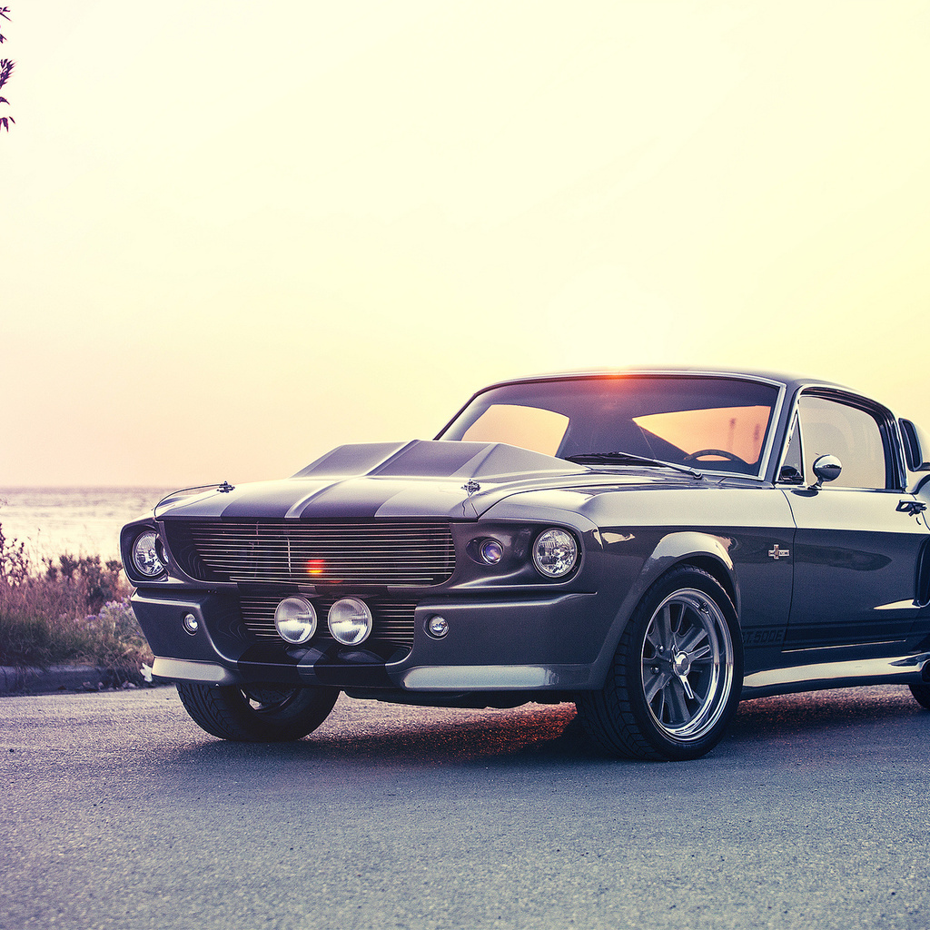 gt500e, ford, giannes kokkas photography, eleanor, mustang, shelby