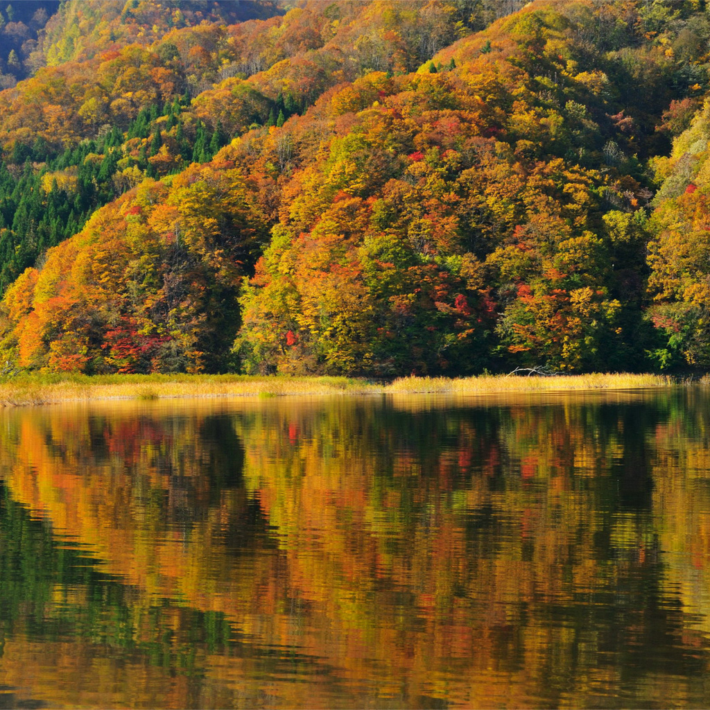 lake akimoto, , autumn,  , fukushima, , Japan