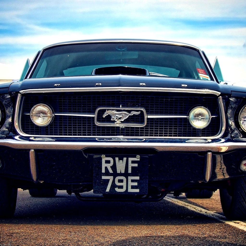 ford, car, , , , mustang, muscle