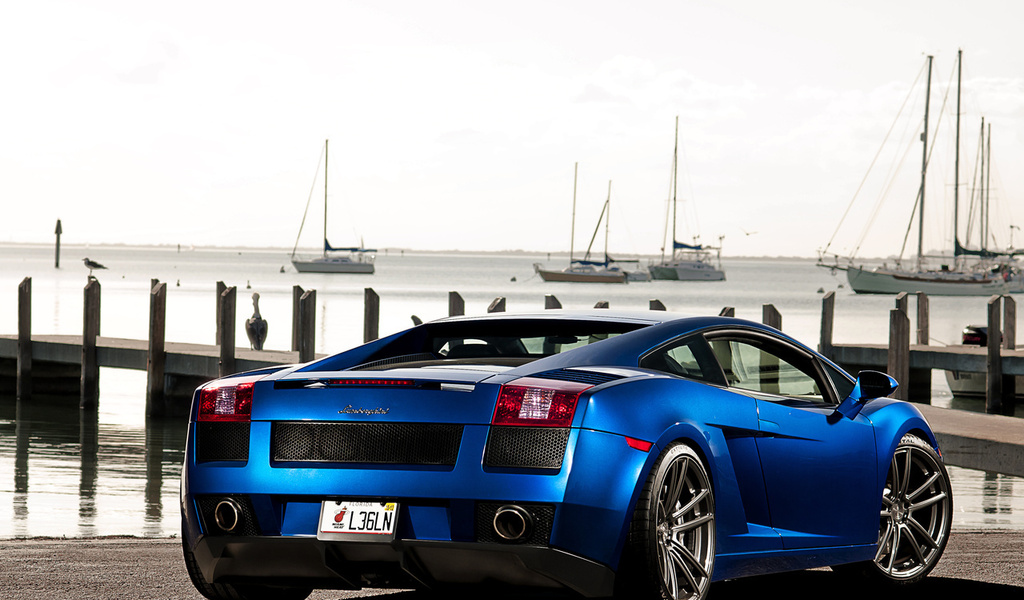 , gallardo, , , Lamborghini, blue