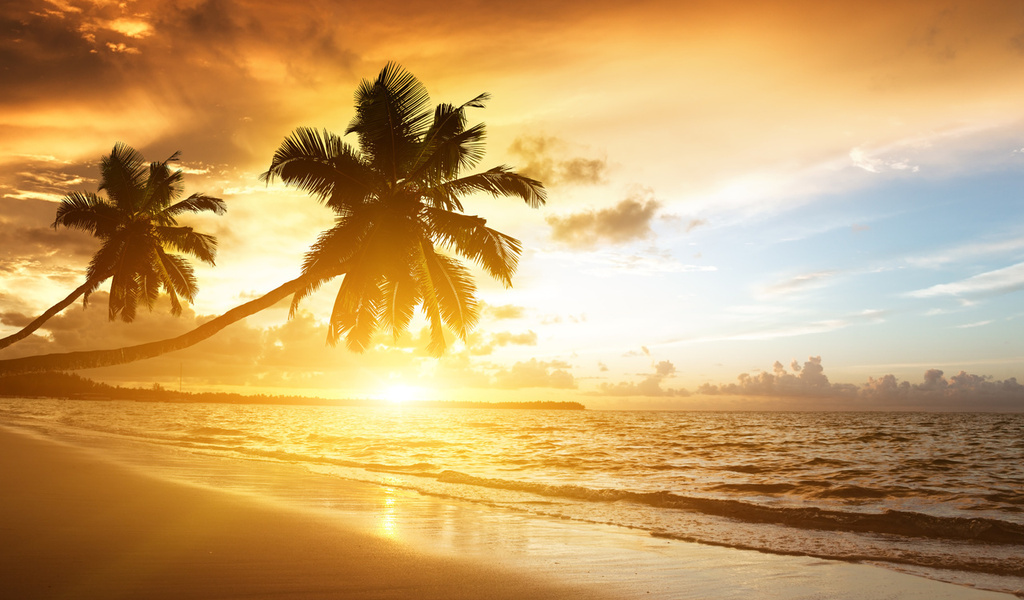 palms, ocean, sunrise, caribbean, clouds,, sea, sunlight