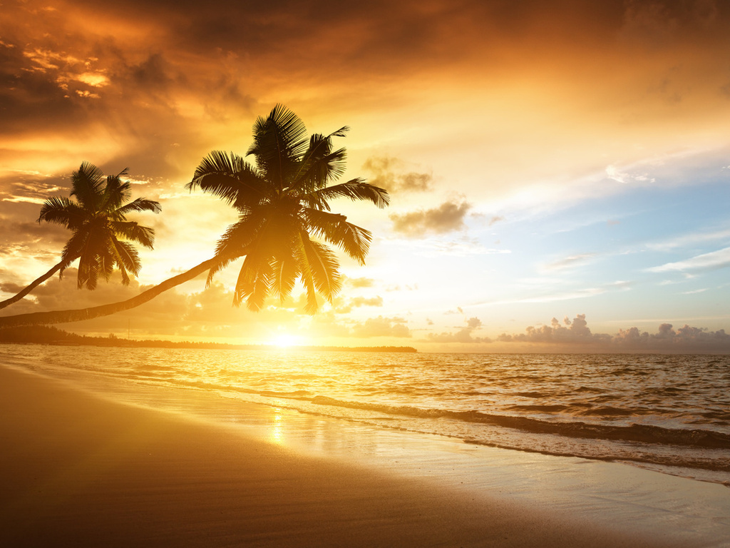 palms, ocean, sunrise, caribbean, clouds,, sea, sunlight