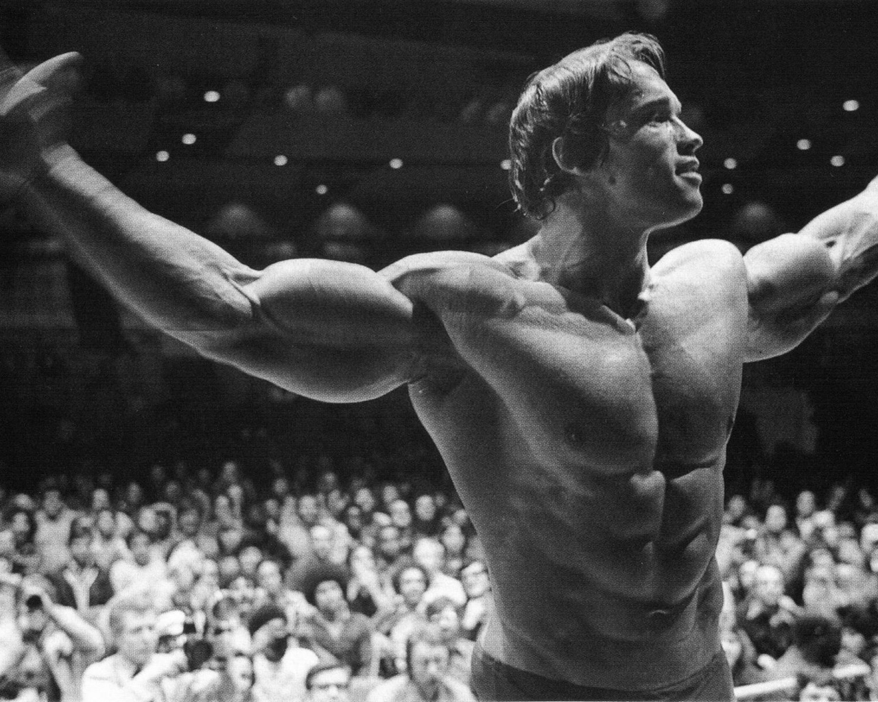  , , , arnold schwarzenegger