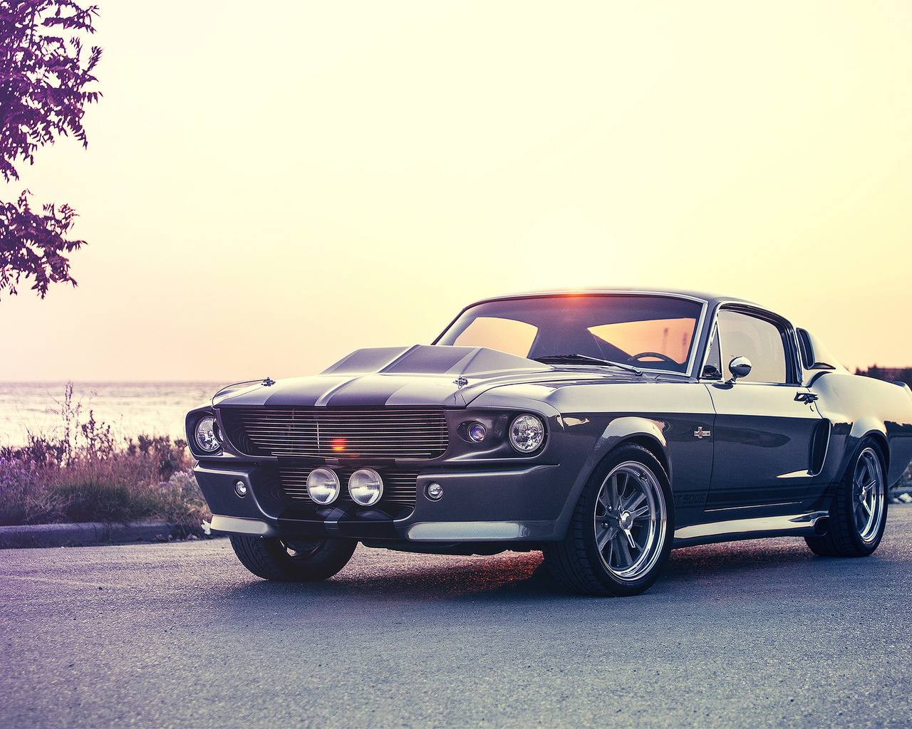 gt500e, ford, giannes kokkas photography, eleanor, mustang, shelby