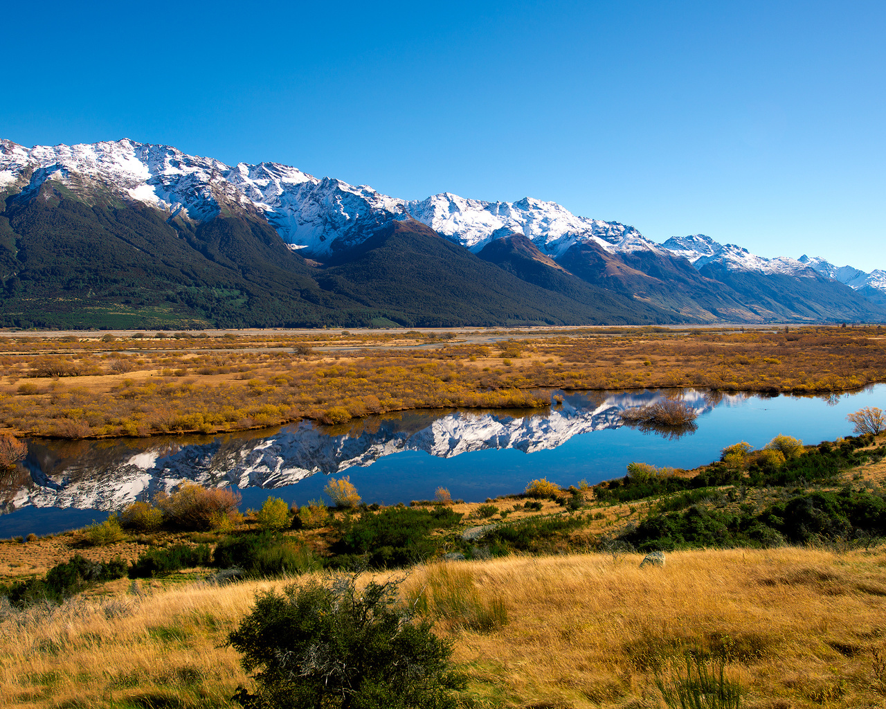  , new zealand, , 