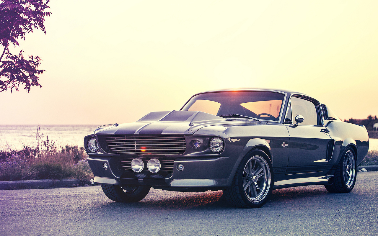 gt500e, ford, giannes kokkas photography, eleanor, mustang, shelby