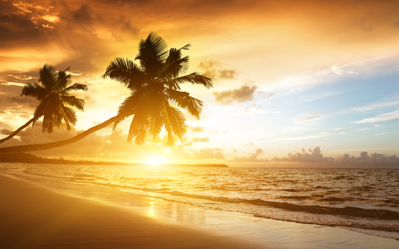 palms, ocean, sunrise, caribbean, clouds,, sea, sunlight