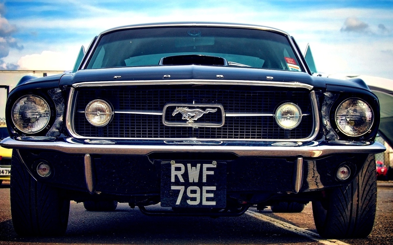 ford, car, , , , mustang, muscle