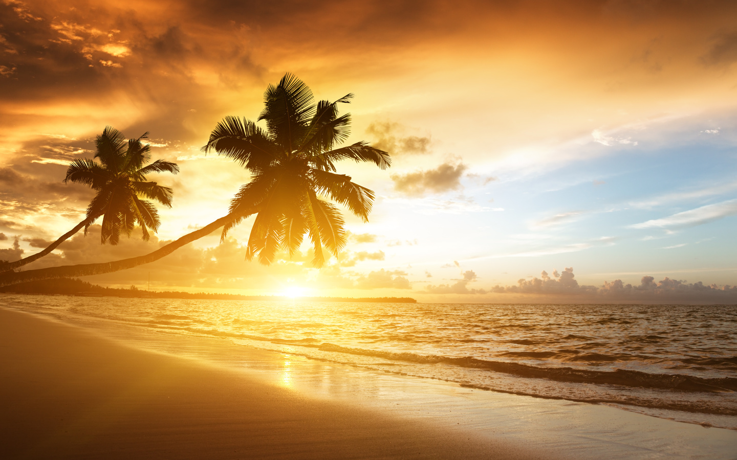 palms, ocean, sunrise, caribbean, clouds,, sea, sunlight