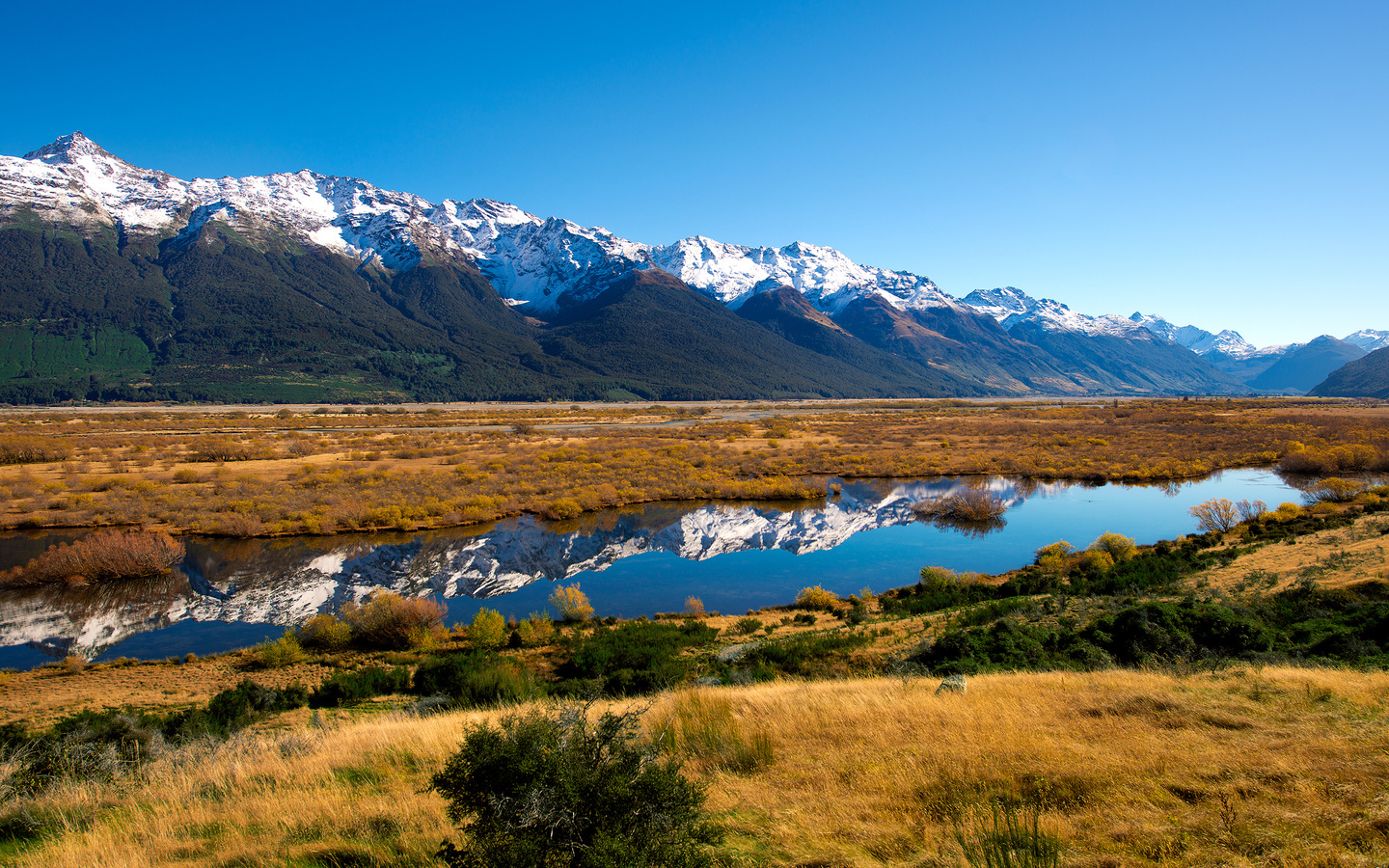  , new zealand, , 