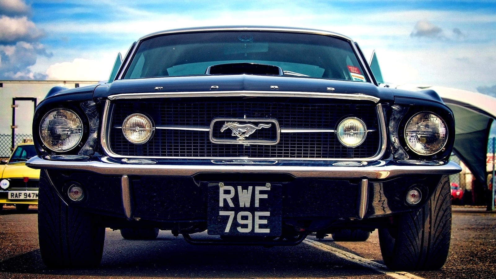 ford, car, , , , mustang, muscle