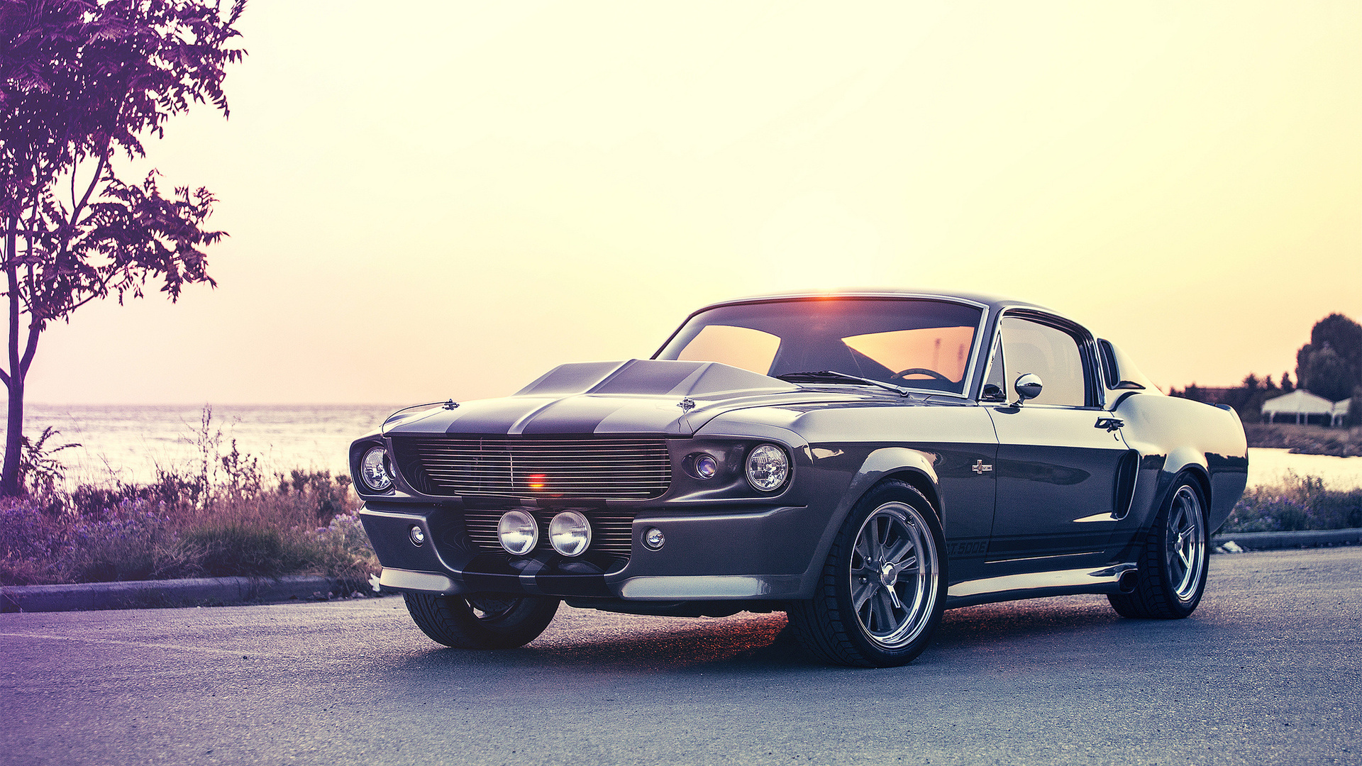 gt500e, ford, giannes kokkas photography, eleanor, mustang, shelby