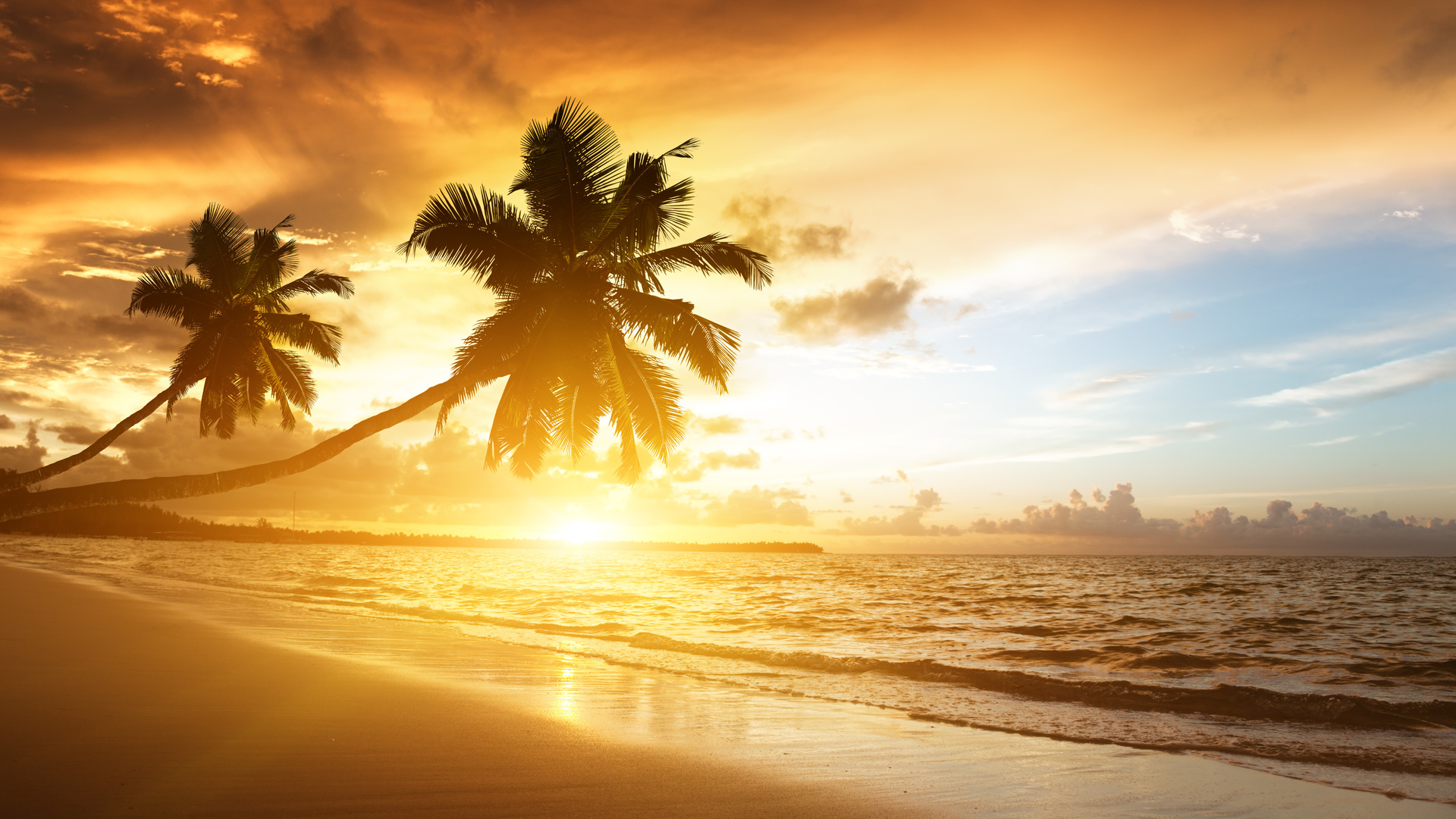 palms, ocean, sunrise, caribbean, clouds,, sea, sunlight