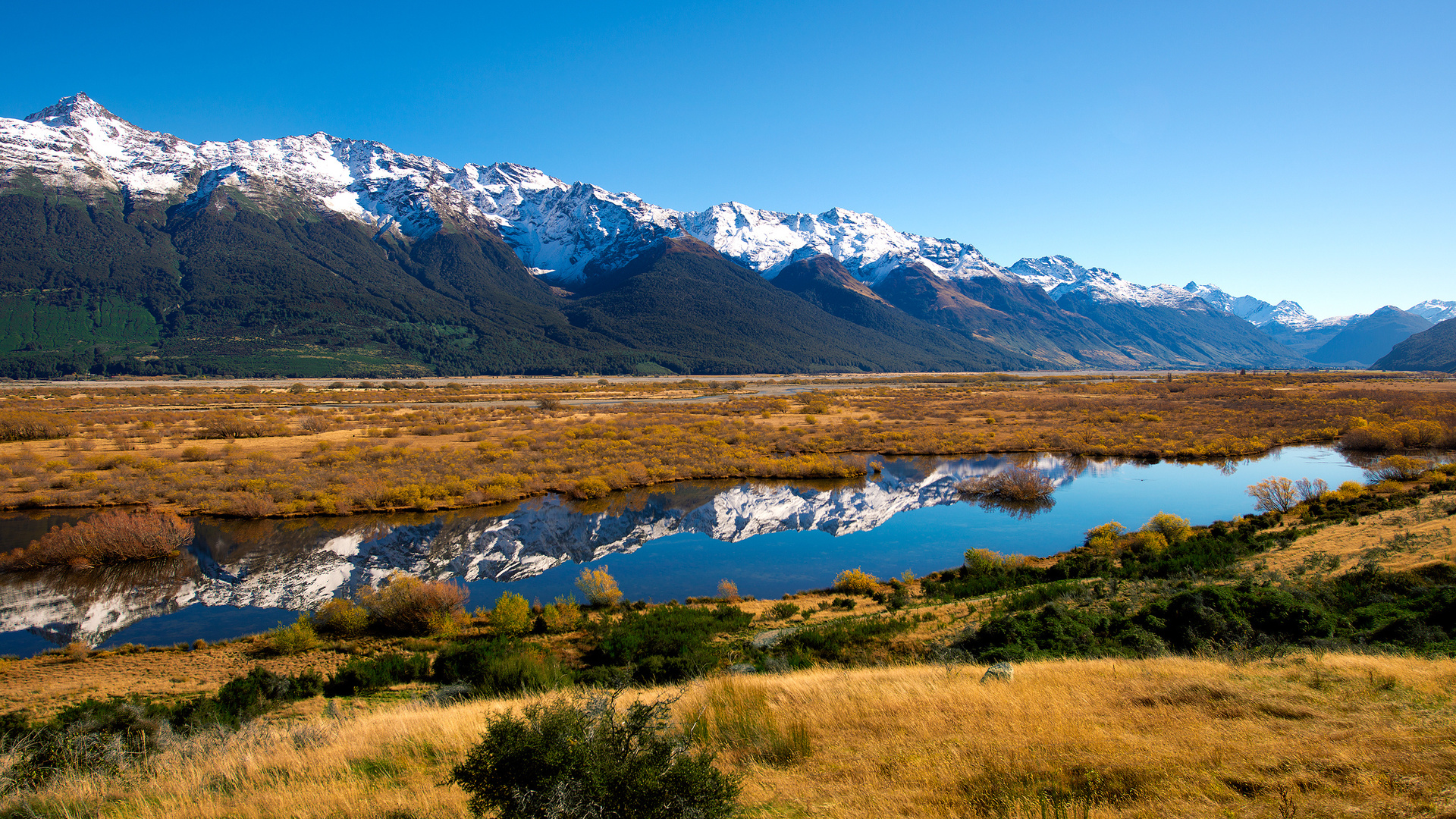  , new zealand, , 