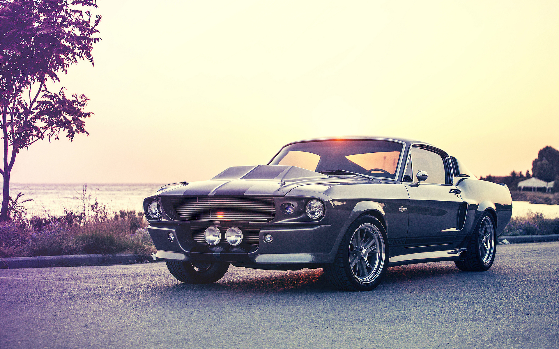 gt500e, ford, giannes kokkas photography, eleanor, mustang, shelby