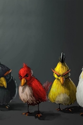 birds, , , Angry