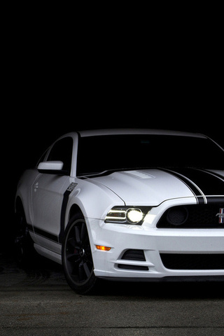 , boss 302, mustang, , Ford, muscle car, white, 