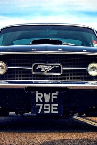 ford, car, , , , mustang, muscle