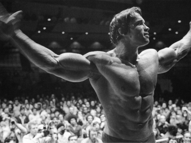  , , , arnold schwarzenegger