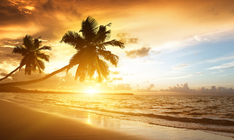 palms, ocean, sunrise, caribbean, clouds,, sea, sunlight