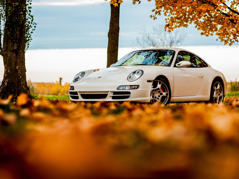 foliage, tree, 911, porsche, white, autumn, , sky, 911