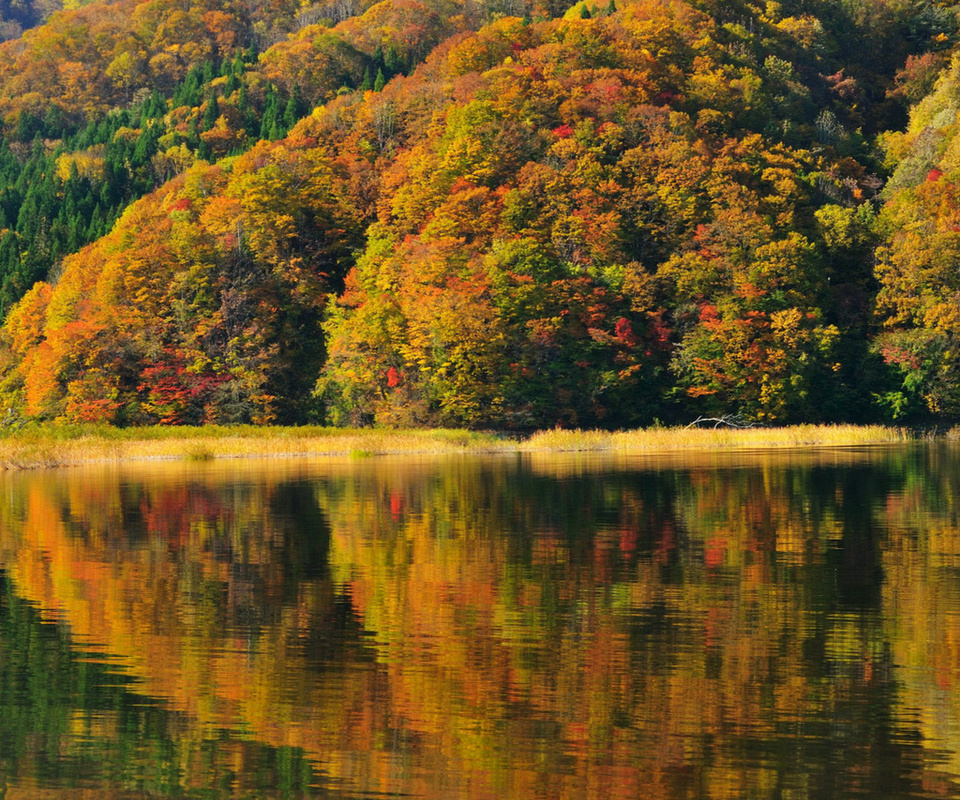 lake akimoto, , autumn,  , fukushima, , Japan