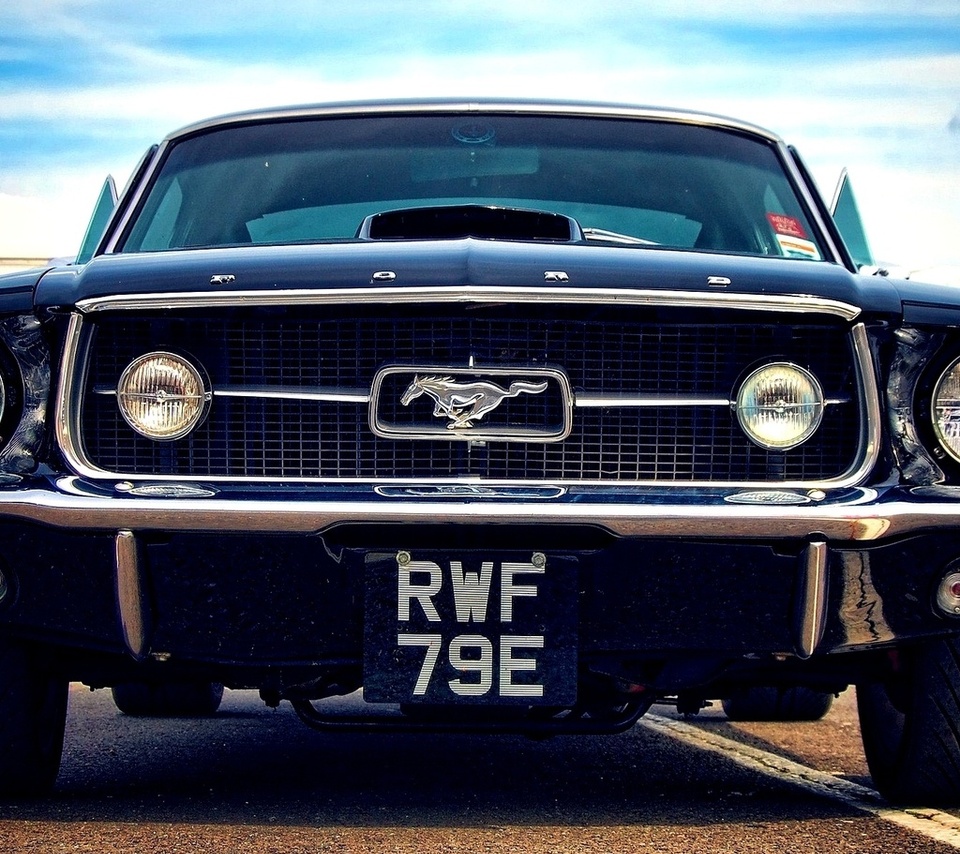 ford, car, , , , mustang, muscle