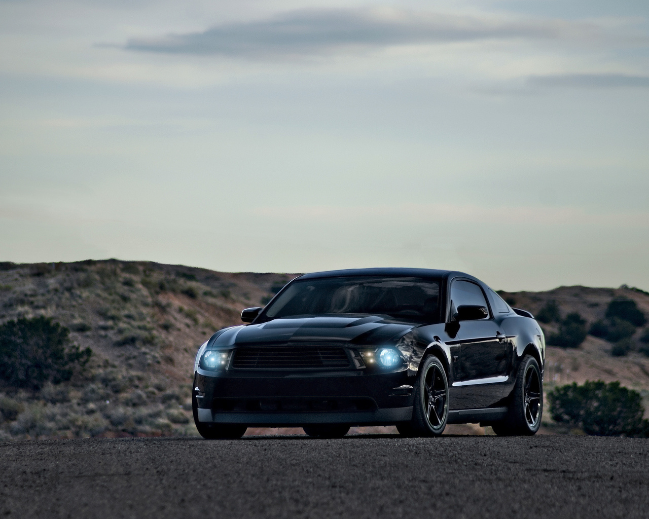 ford, mustang, muscle car, boss, , black, 