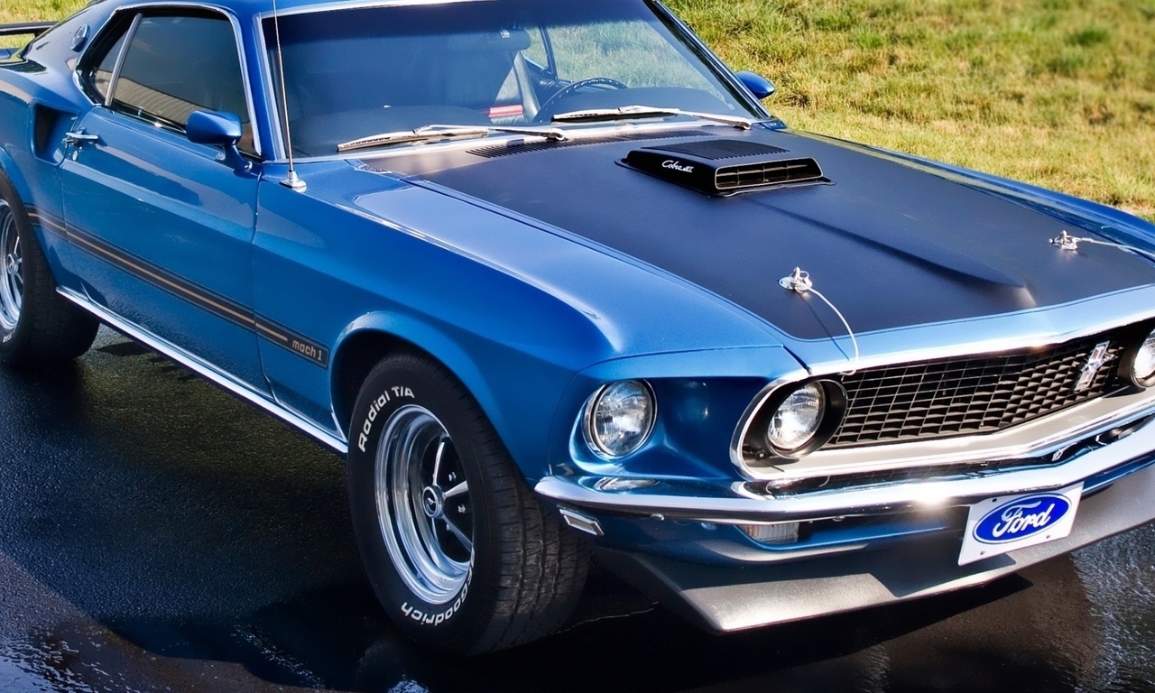mustang, mach 1, , Ford, 1969, , , muscle car, 