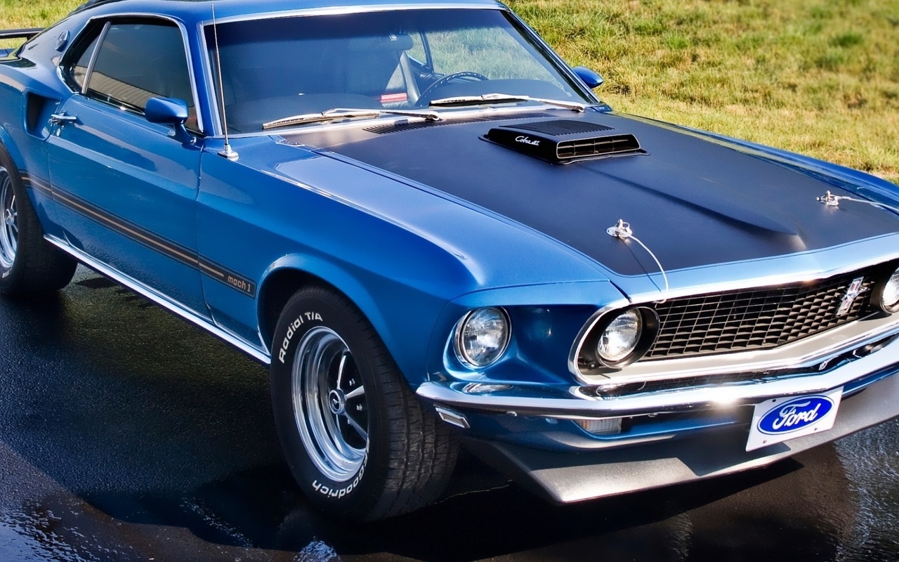 mustang, mach 1, , Ford, 1969, , , muscle car, 