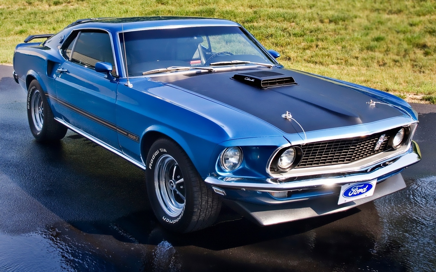 mustang, mach 1, , Ford, 1969, , , muscle car, 