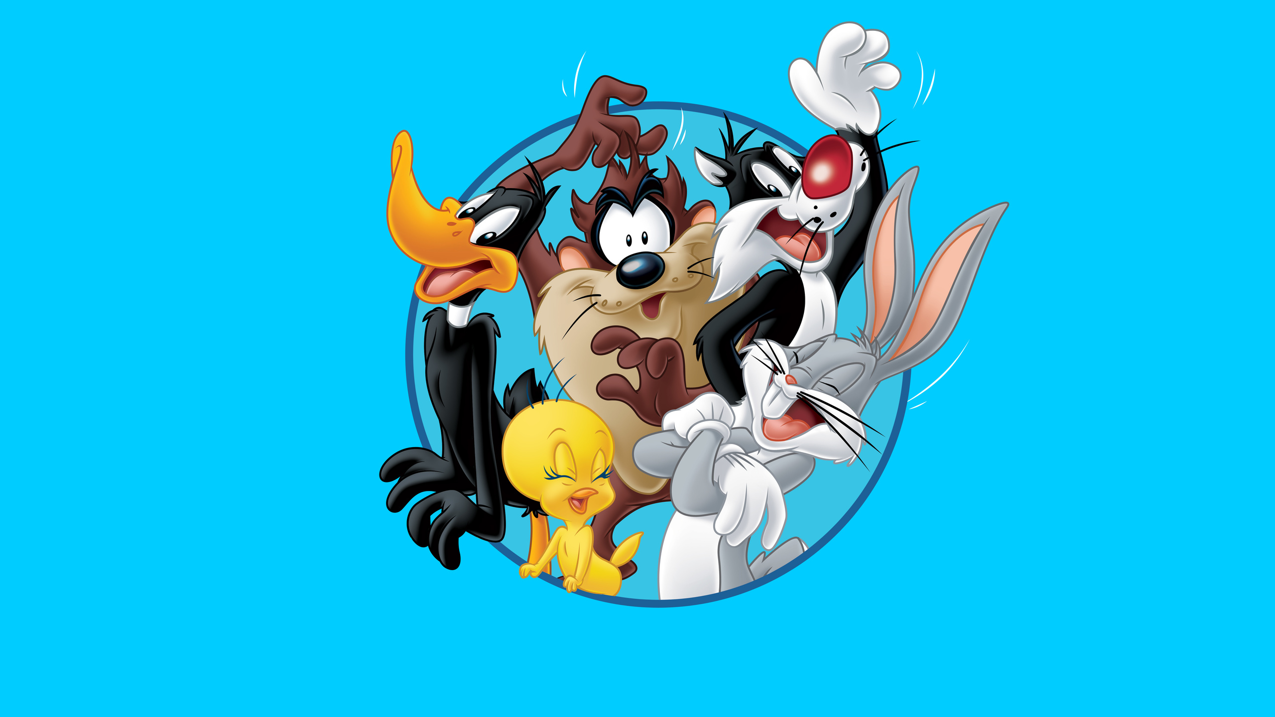 looney tunes,  ,  