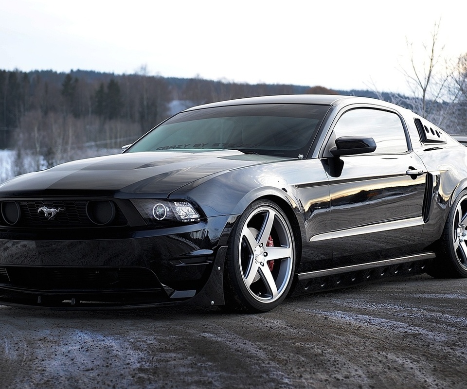 , , mustang, black, ford, 