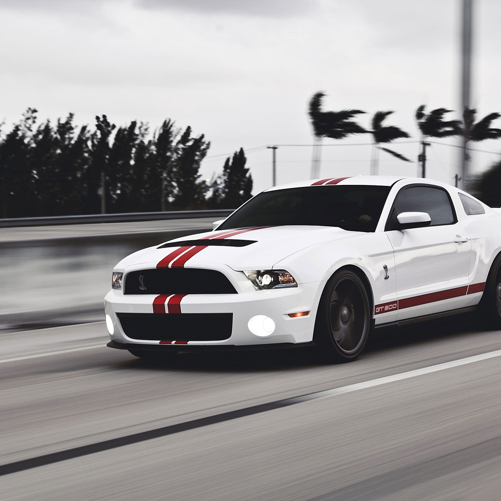 Ford, gt500, mustang, , muscle car, , , shelby,  