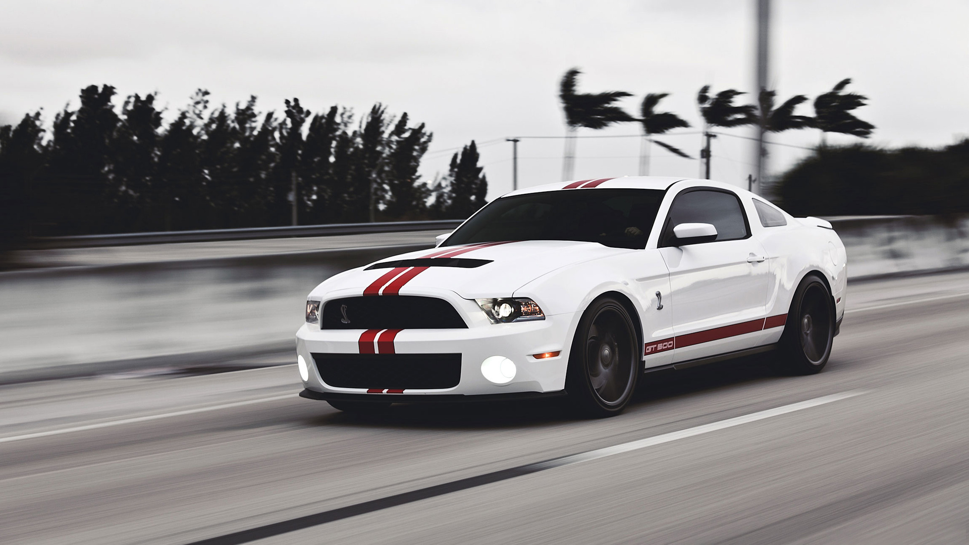 Ford, gt500, mustang, , muscle car, , , shelby,  