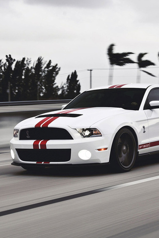 Ford, gt500, mustang, , muscle car, , , shelby,  