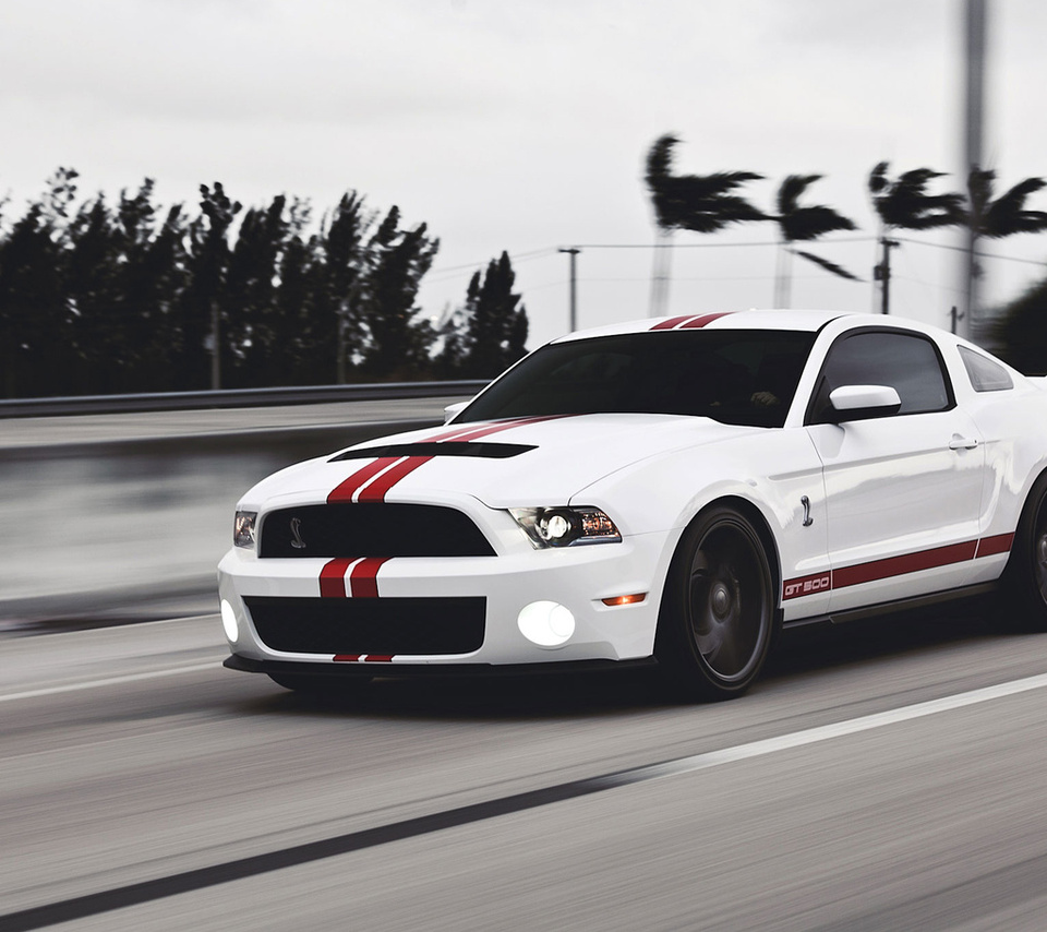 Ford, gt500, mustang, , muscle car, , , shelby,  