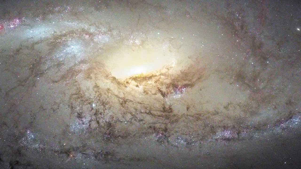 M106, , ,  , ngc 4258