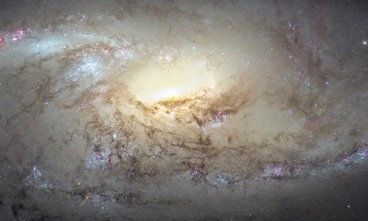 M106, , ,  , ngc 4258