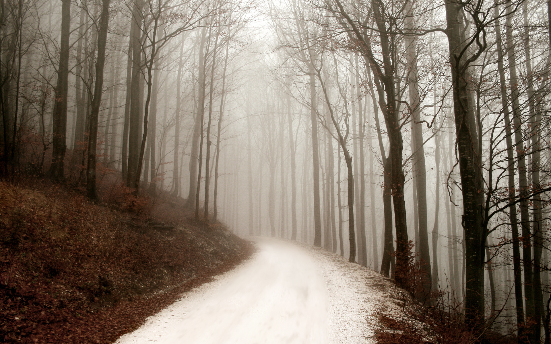 path, winter, ,  , , forest, , 