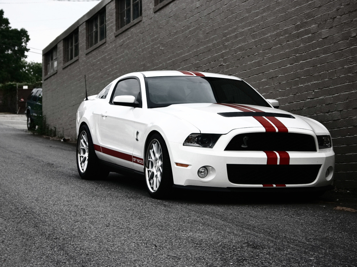 , ,  , ford, gt500, , Mustang, shelby