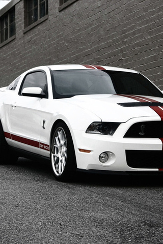 , ,  , ford, gt500, , Mustang, shelby