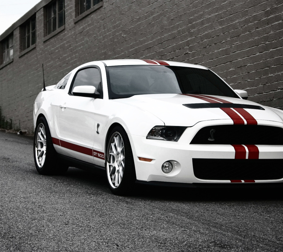 , ,  , ford, gt500, , Mustang, shelby