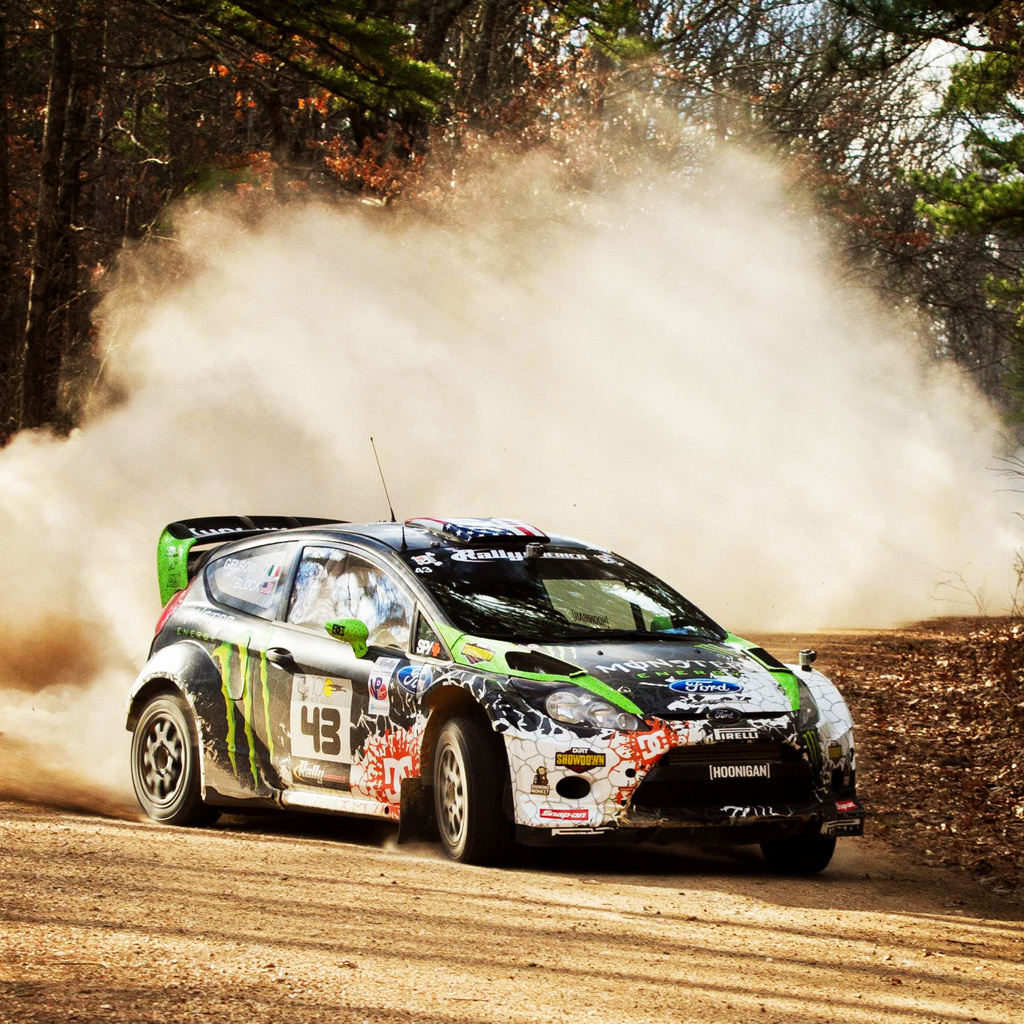 showdown, , wrc, , ford fiesta, Dirt, 2012, 