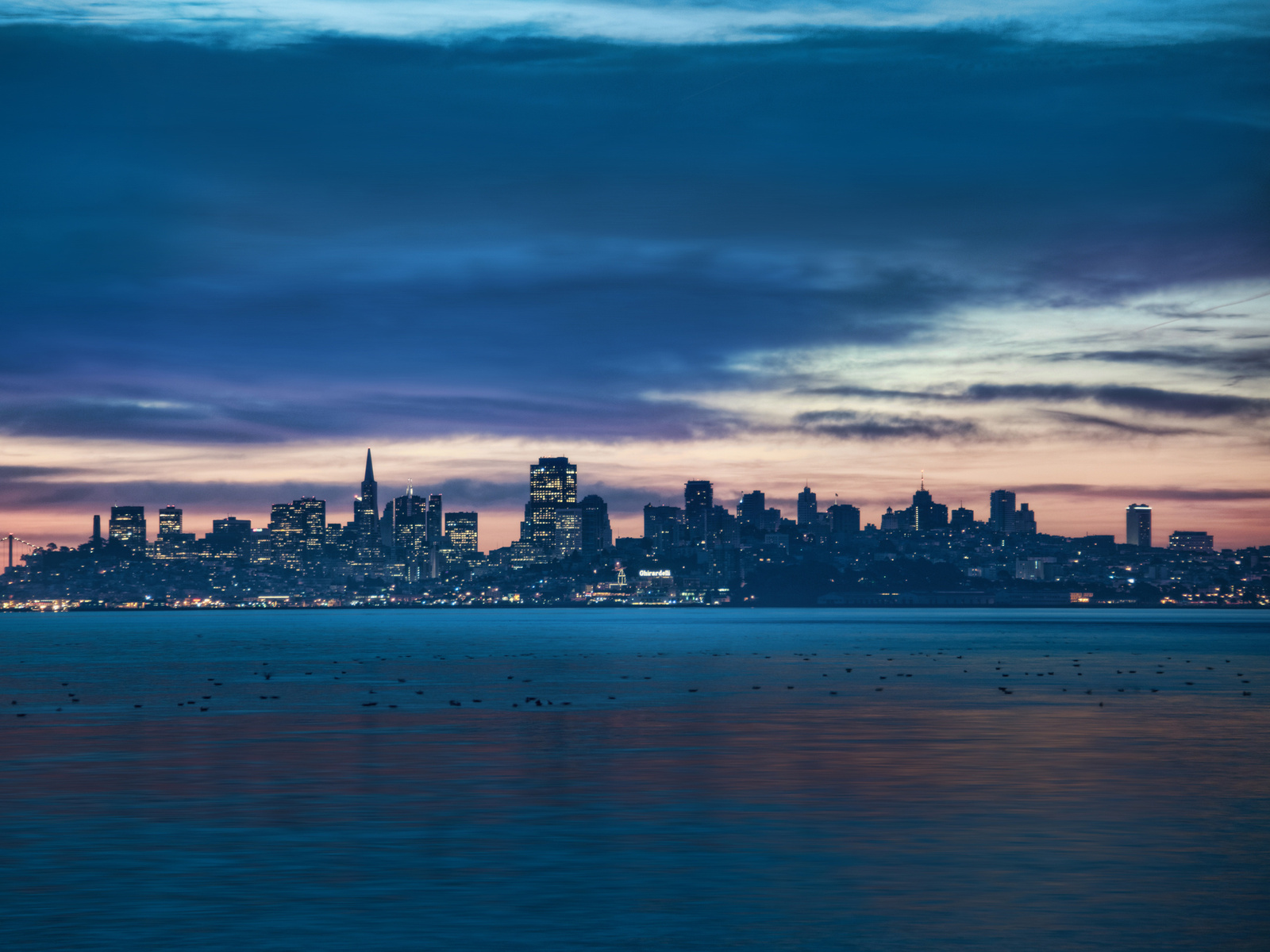 night, San francisco, -, , california, 