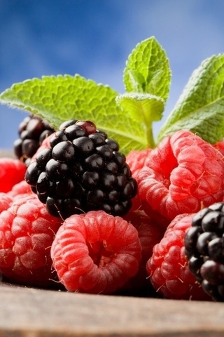 raspberry, , , , , blackberry